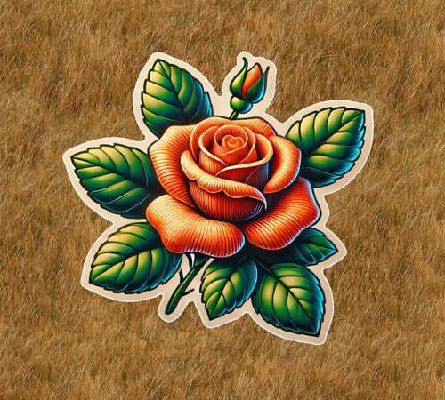 Beautiful orange rose 100%